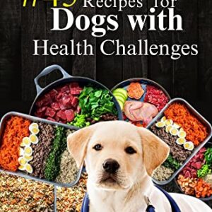 #45 Homemade Recipes for Dogs with Health Diseases: Managing Canine Diabetes, canine cancer,kidney and liver disease, Urinary Tract Infection and stomach upset in your furry friend