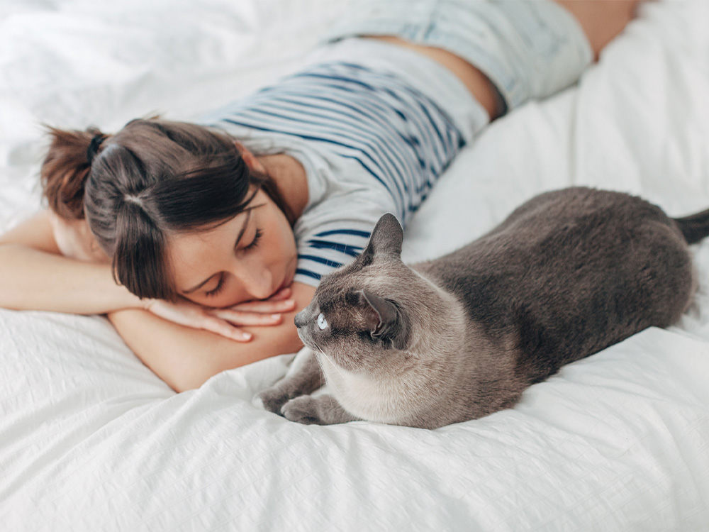 Adopt-a-Pet.com Blog Unleashing the Love: Exploring Why French Bulldogs Are So Popular