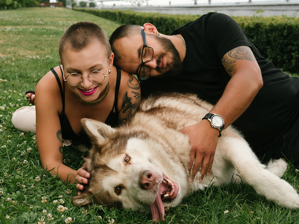 Adopt-a-Pet.com Blog 15 Large Dog Breeds That Make The Best Pets