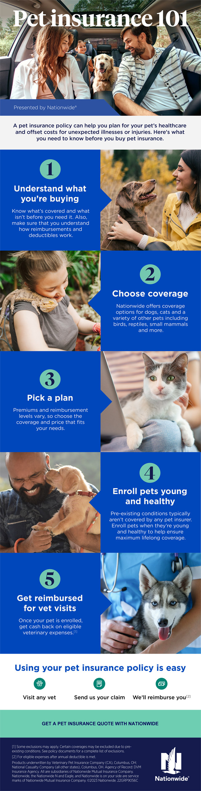 Adopt-a-Pet.com Blog Best Cat Breeds for Allergic People: Tips to Manage Cat Allergies