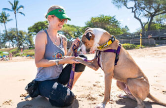Adopt-a-Pet.com Blog Maui Humane Society’s Innovative Programs Unite Dogs and Island Visitors