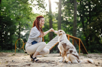 Adopt-a-Pet.com Blog Everything You Need to Know About Working Dog Breeds